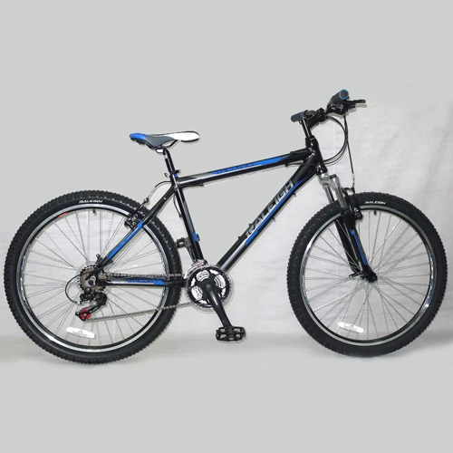 raleigh talus 1